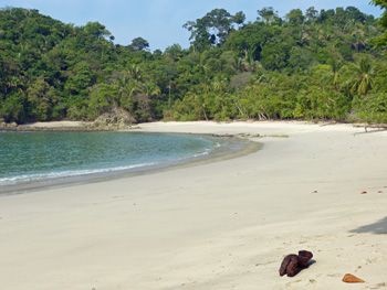 MANUEL ANTONIO